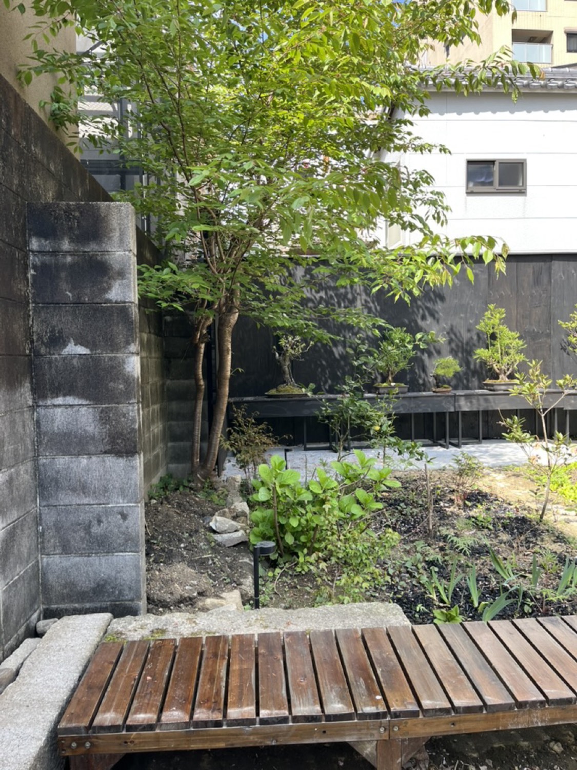 京都・松下町の庭。縁台を置けば、ここも小さな縁側になる。